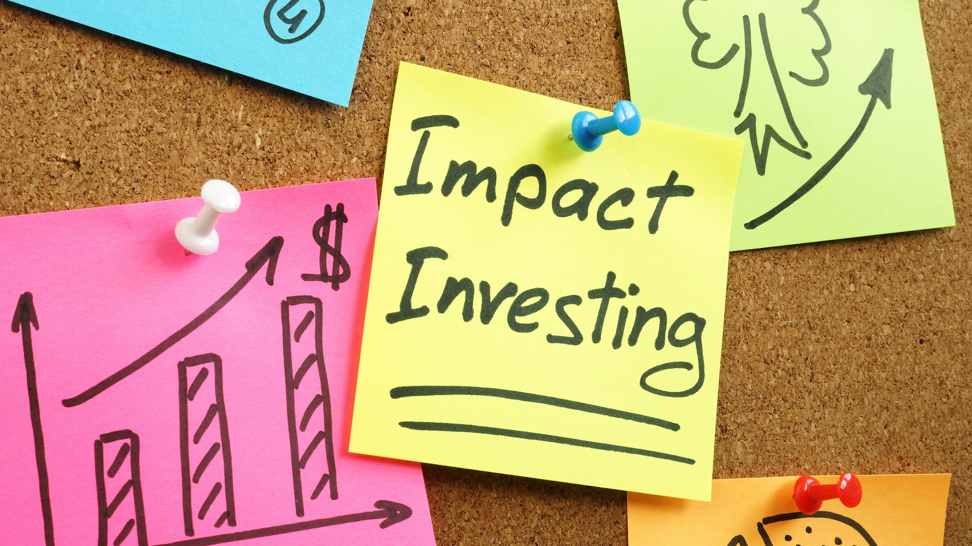Impact investing, di cosa si tratta 